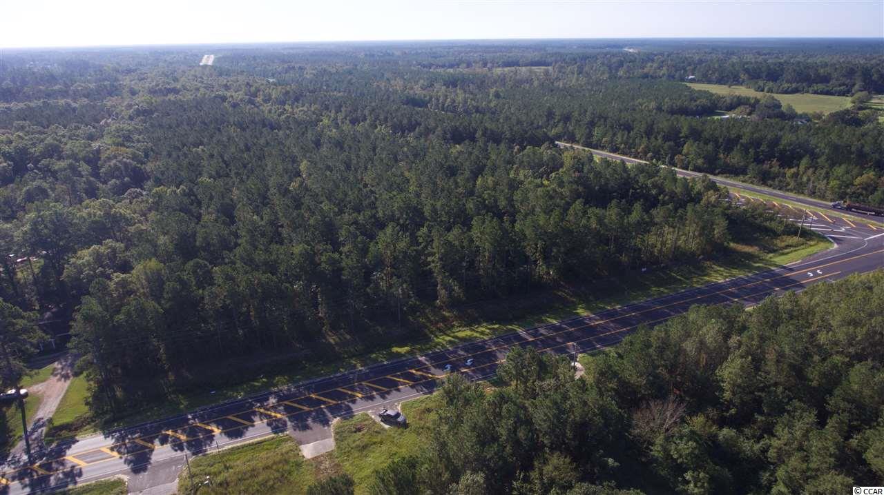 21.3-ace County Line Road Andrews, SC 29510 - Photo 2 of 4