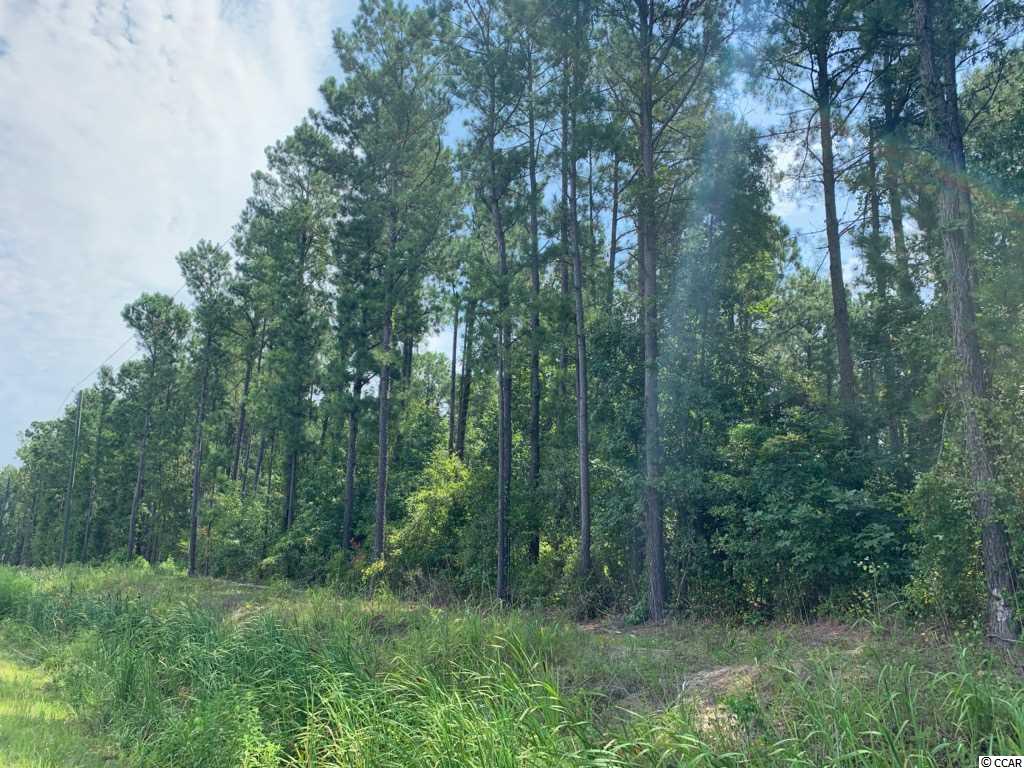 21.3-ace County Line Road Andrews, SC 29510 - Photo 3 of 4