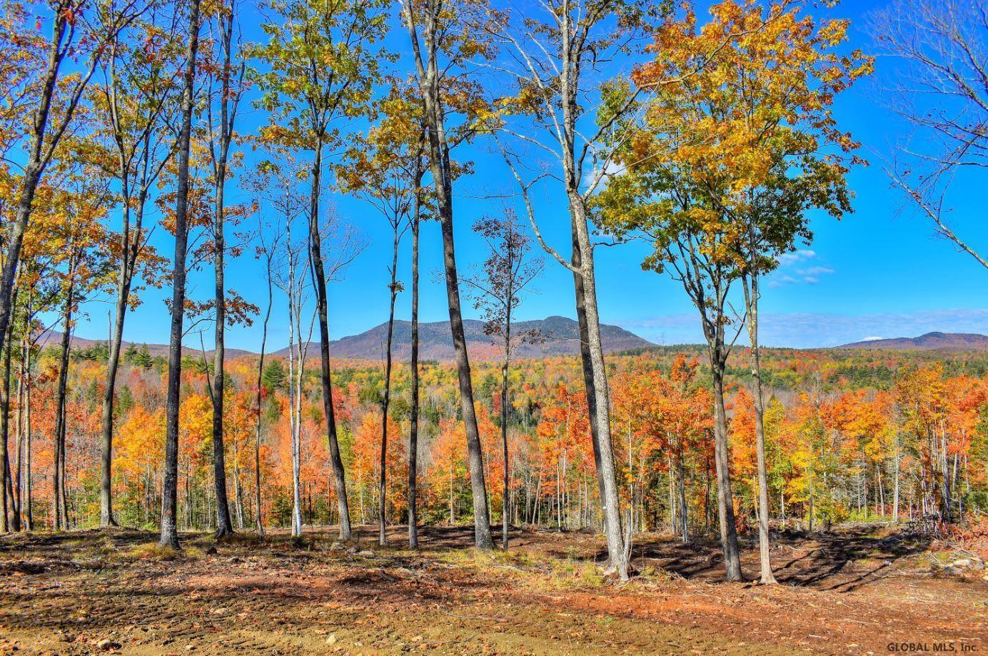 Lot #3 Lot Road Johnsburg, NY 12843 - Photo 1 of 17 Photo 1