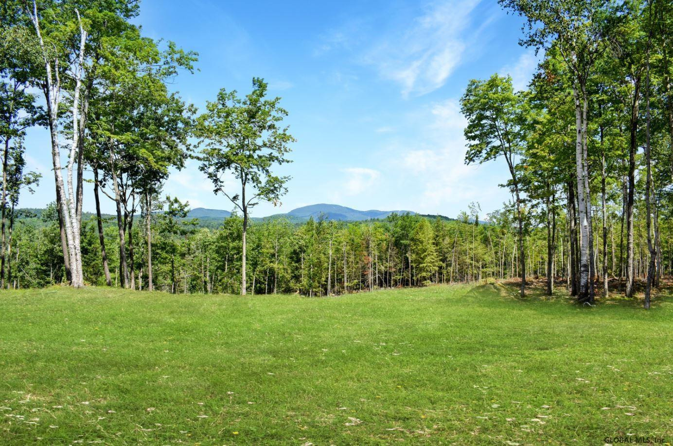 Lot #3 Lot Road Johnsburg, NY 12843 - Photo 11 of 17 Photo 11