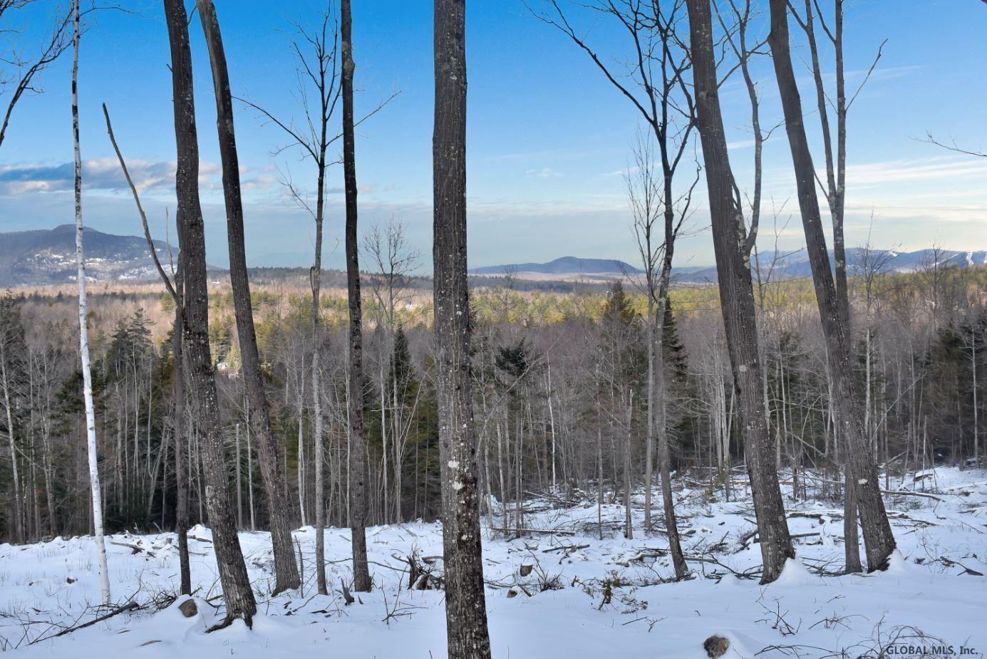 Lot #3 Lot Road Johnsburg, NY 12843 - Photo 12 of 17 Photo 12