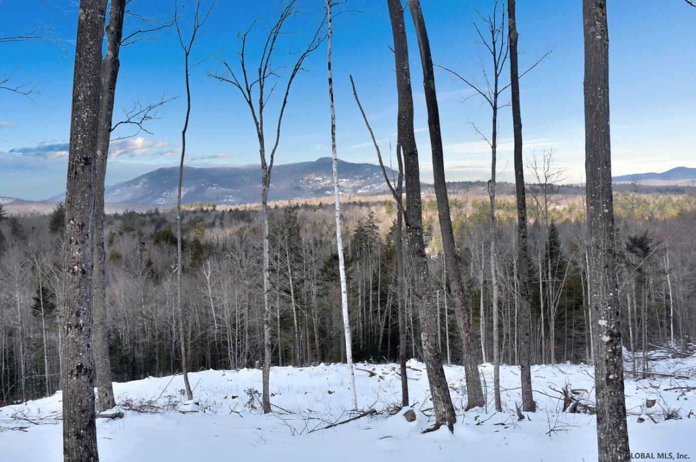 Lot #3 Lot Road Johnsburg, NY 12843 - Photo 13 of 17 Photo 13