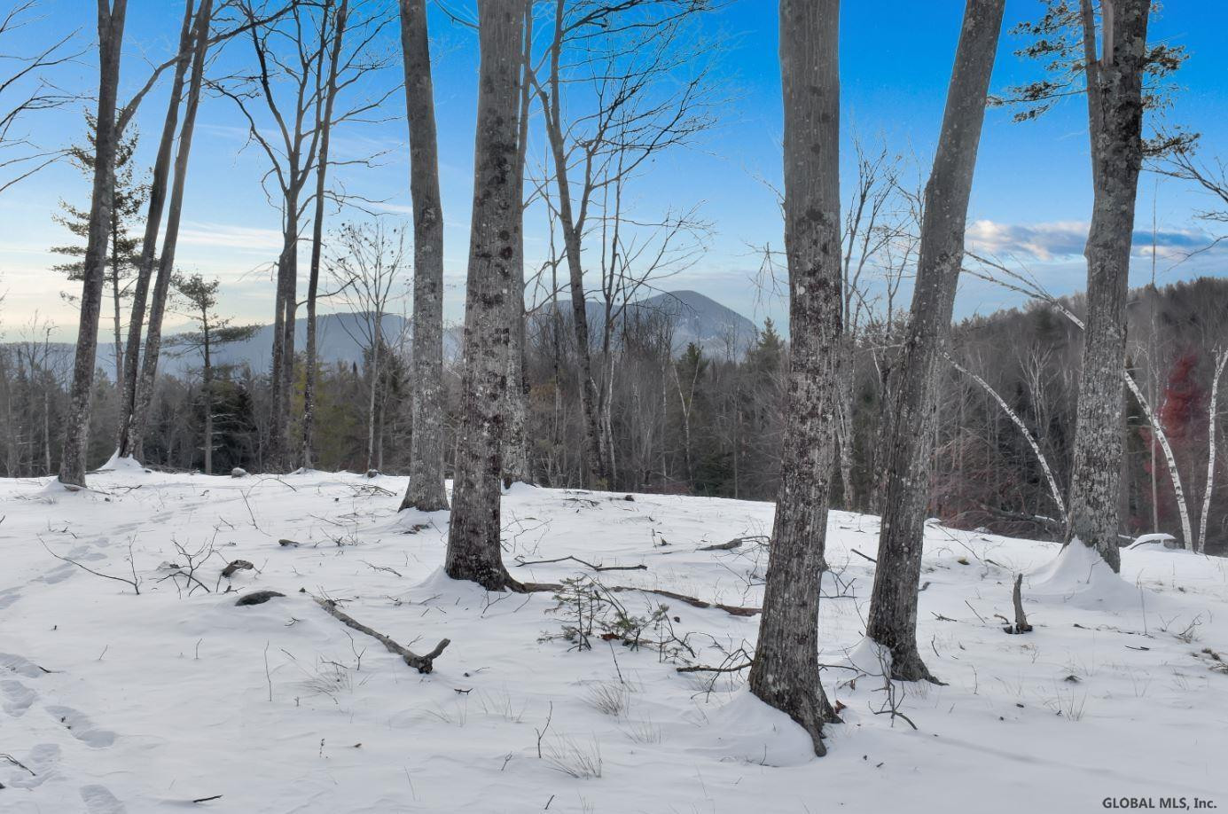 Lot #3 Lot Road Johnsburg, NY 12843 - Photo 14 of 17 Photo 14