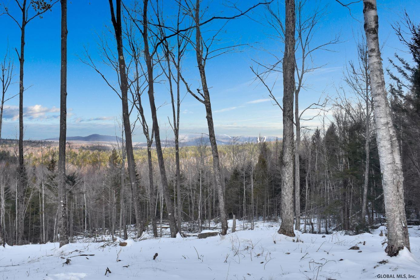 Lot #3 Lot Road Johnsburg, NY 12843 - Photo 15 of 17 Photo 15