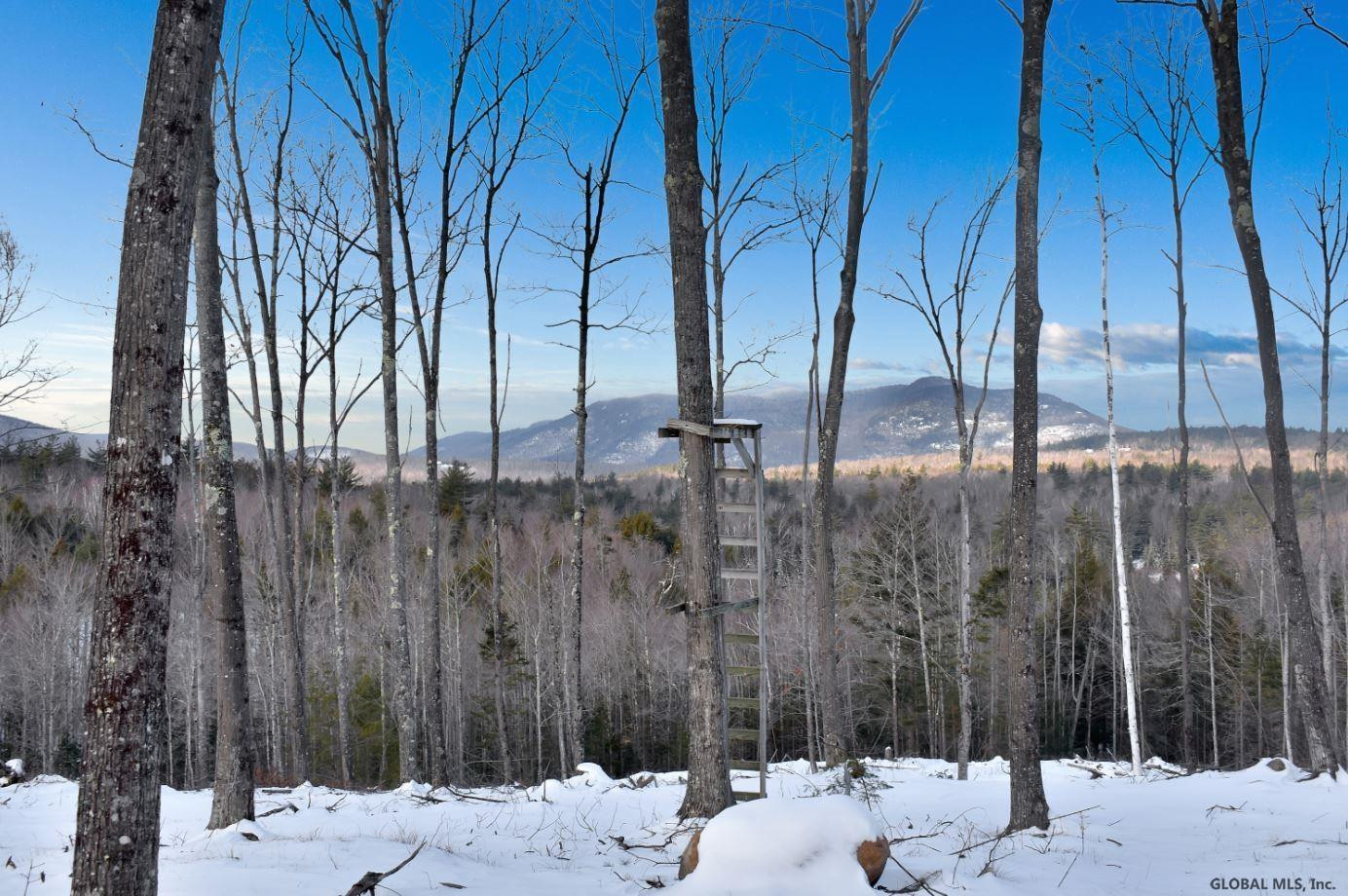 Lot #3 Lot Road Johnsburg, NY 12843 - Photo 16 of 17 Photo 16