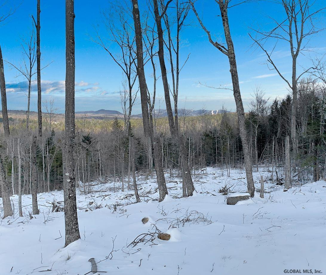Lot #3 Lot Road Johnsburg, NY 12843 - Photo 17 of 17 Photo 17