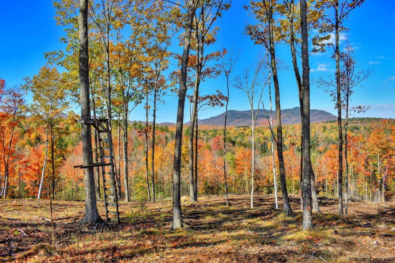 Lot #3 Lot Road Johnsburg, NY 12843 - Photo 2 of 17 Photo 2