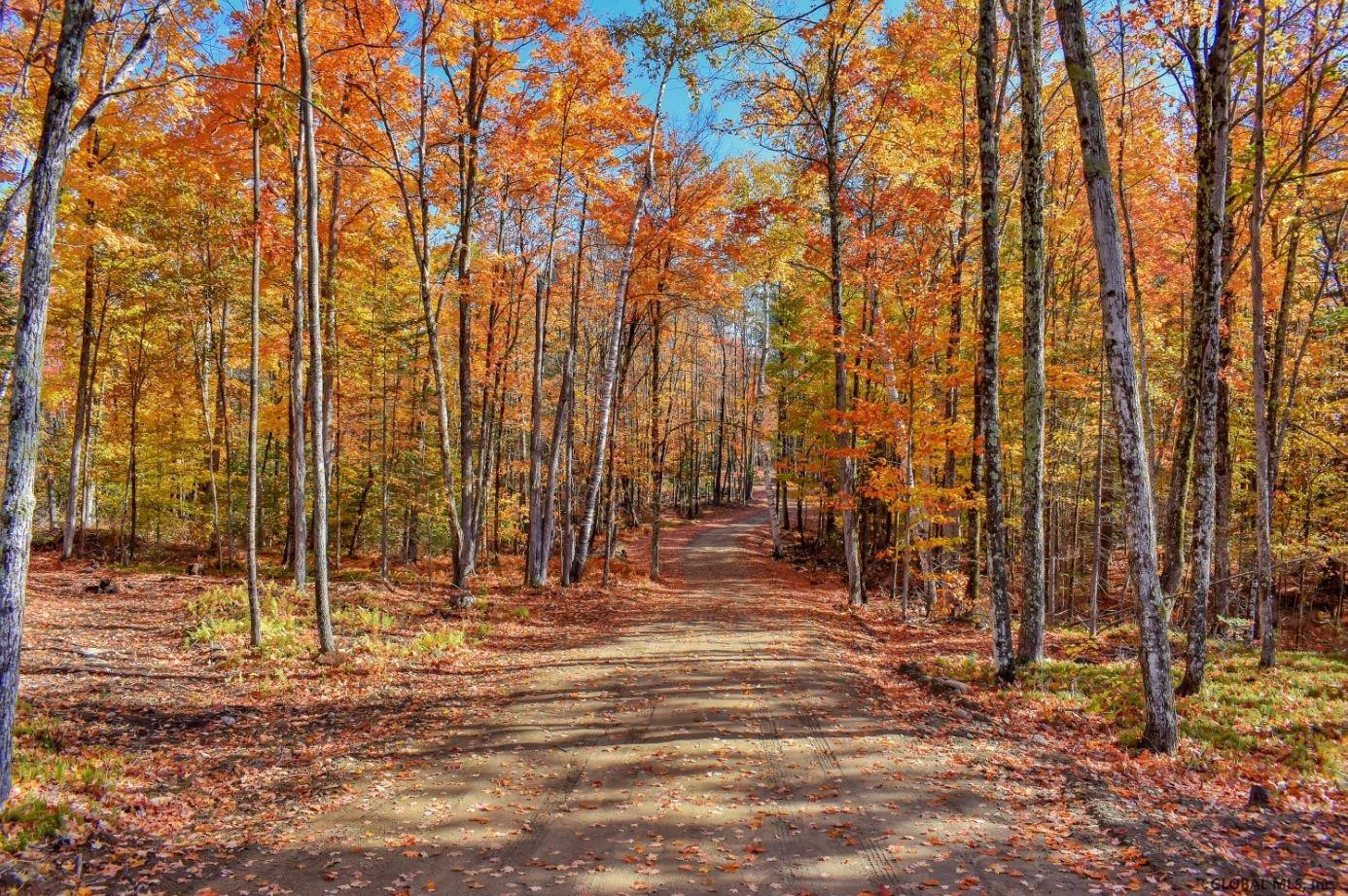 Lot #3 Lot Road Johnsburg, NY 12843 - Photo 3 of 17 Photo 3
