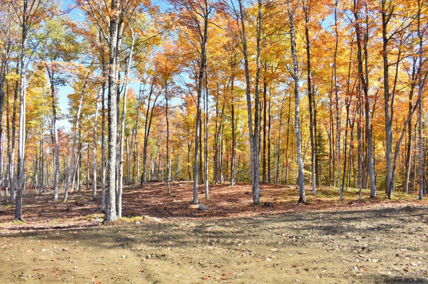 Lot #3 Lot Road Johnsburg, NY 12843 - Photo 4 of 17 Photo 4