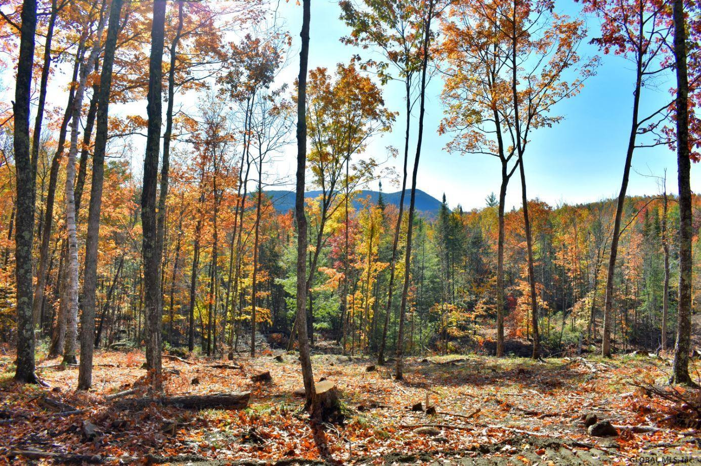 Lot #3 Lot Road Johnsburg, NY 12843 - Photo 5 of 17 Photo 5