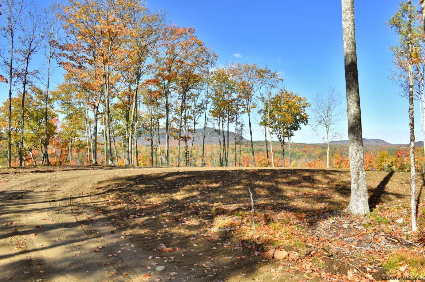 Lot #3 Lot Road Johnsburg, NY 12843 - Photo 6 of 17 Photo 6