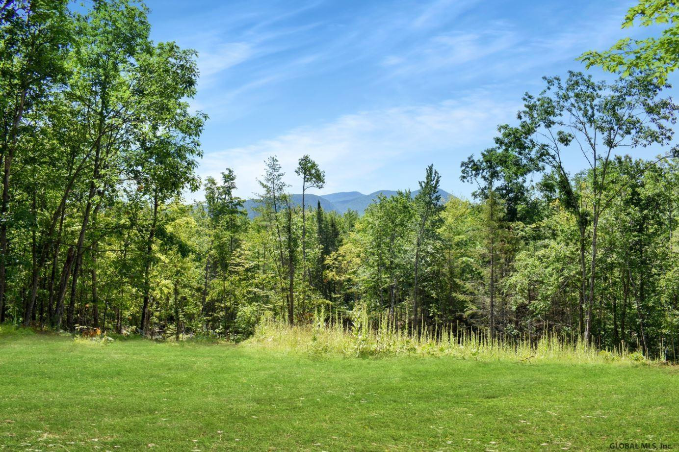 Lot #3 Lot Road Johnsburg, NY 12843 - Photo 7 of 17 Photo 7