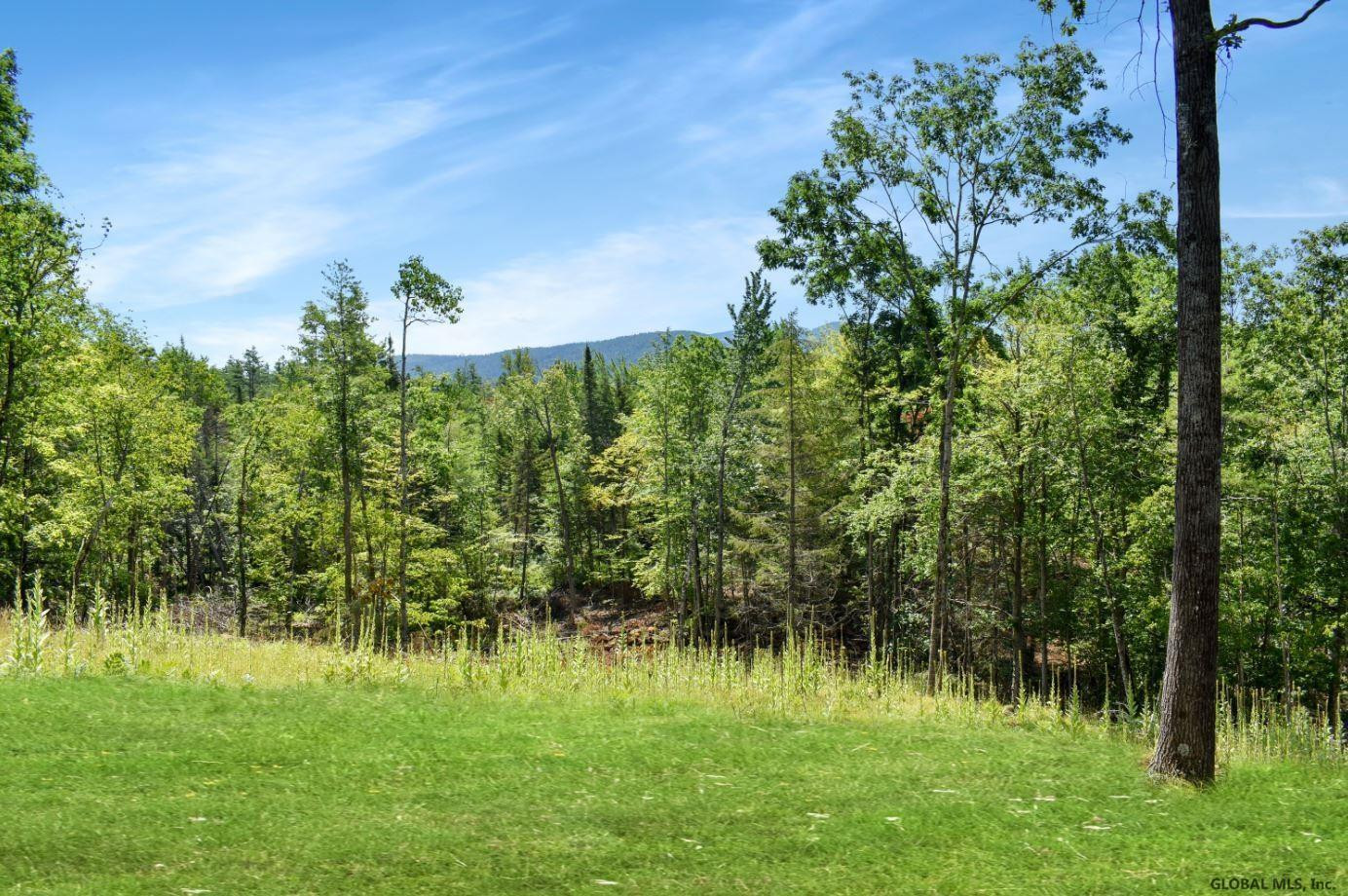 Lot #3 Lot Road Johnsburg, NY 12843 - Photo 9 of 17 Photo 9