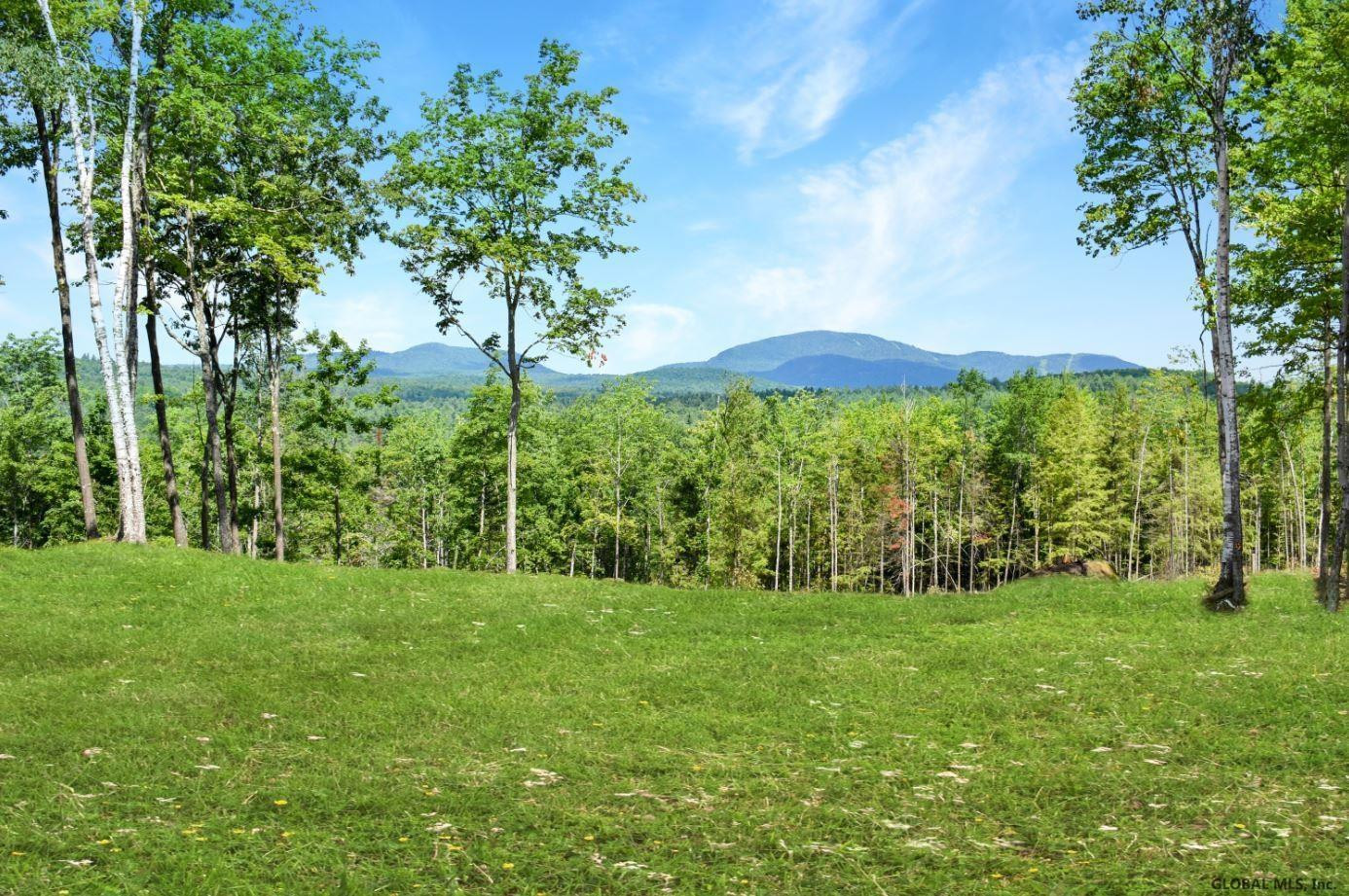 Lot #3 Lot Road Johnsburg, NY 12843 - Photo 10 of 17 Photo 10