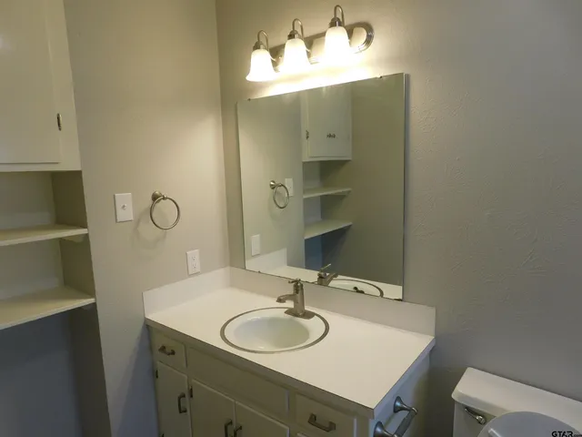 a bathroom with a sink and a mirror