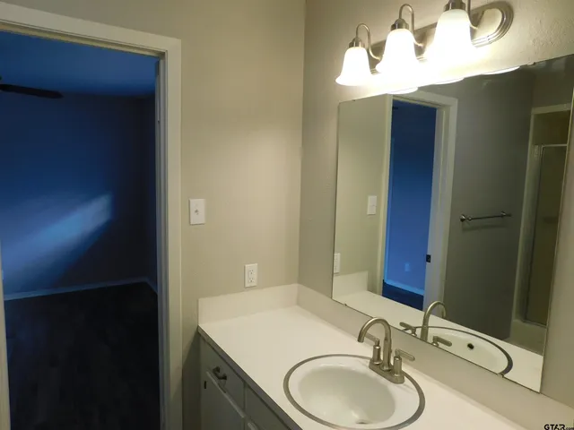 a bathroom with a sink and a mirror