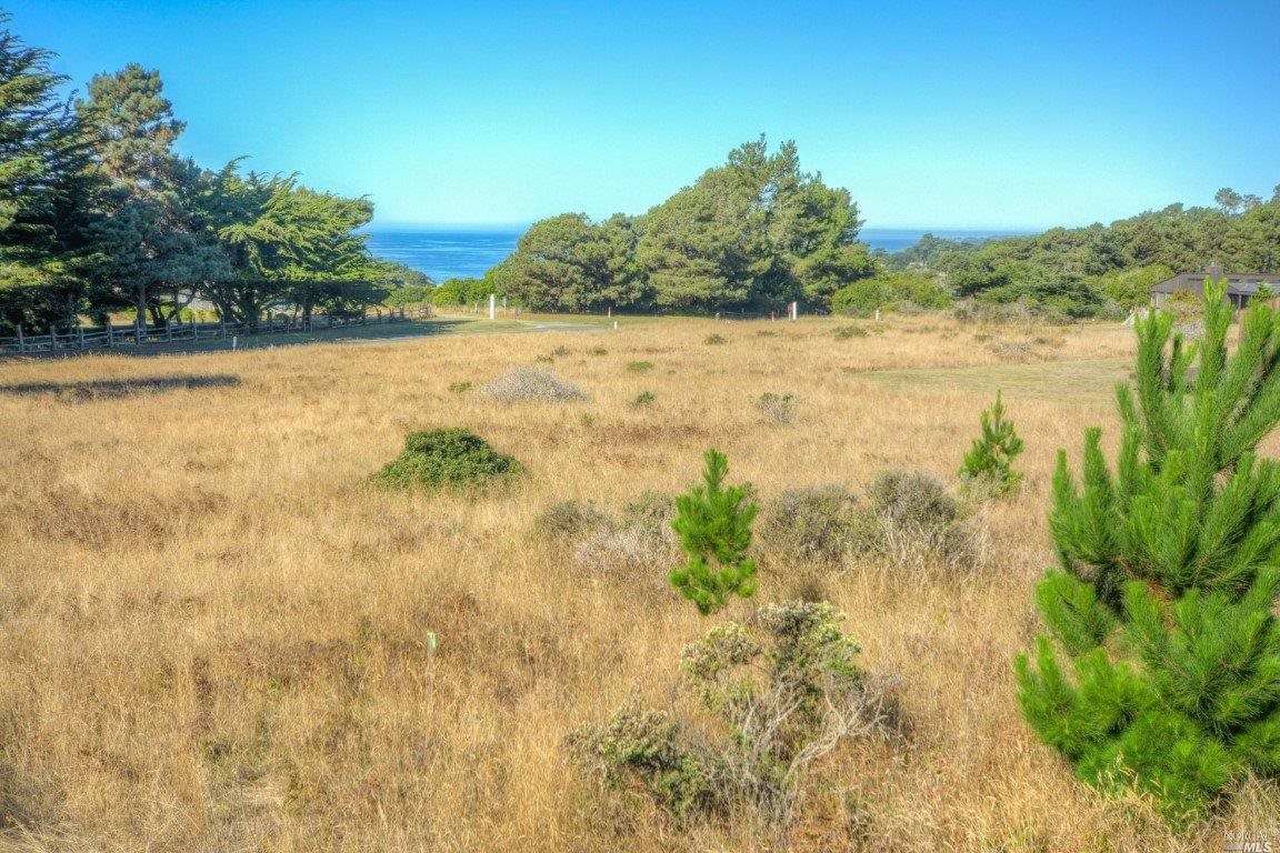 200 Headlands Close The Sea Ranch, CA 95497 - Photo 1 of 11 a view of a lake with a yard