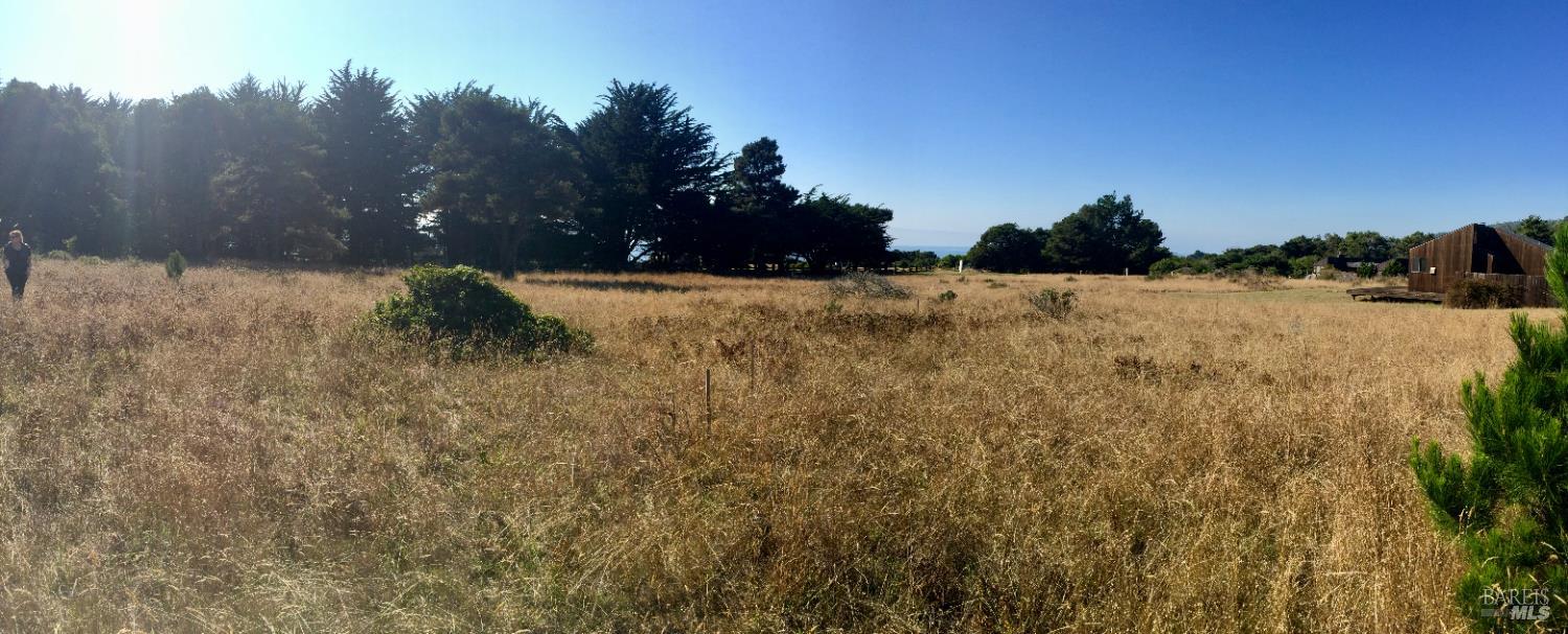 200 Headlands Close The Sea Ranch, CA 95497 - Photo 6 of 11 a view of outdoor space and covered with trees