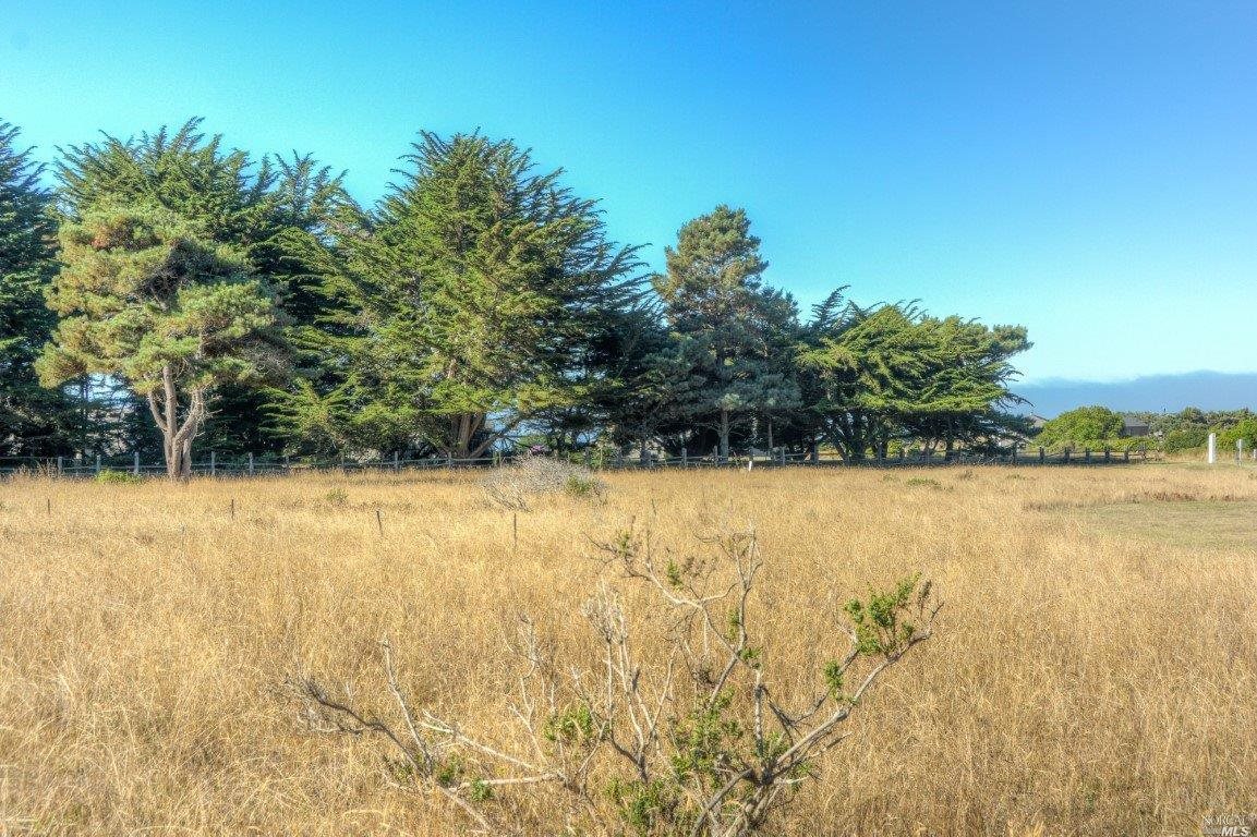 200 Headlands Close The Sea Ranch, CA 95497 - Photo 7 of 11 a view of an ocean