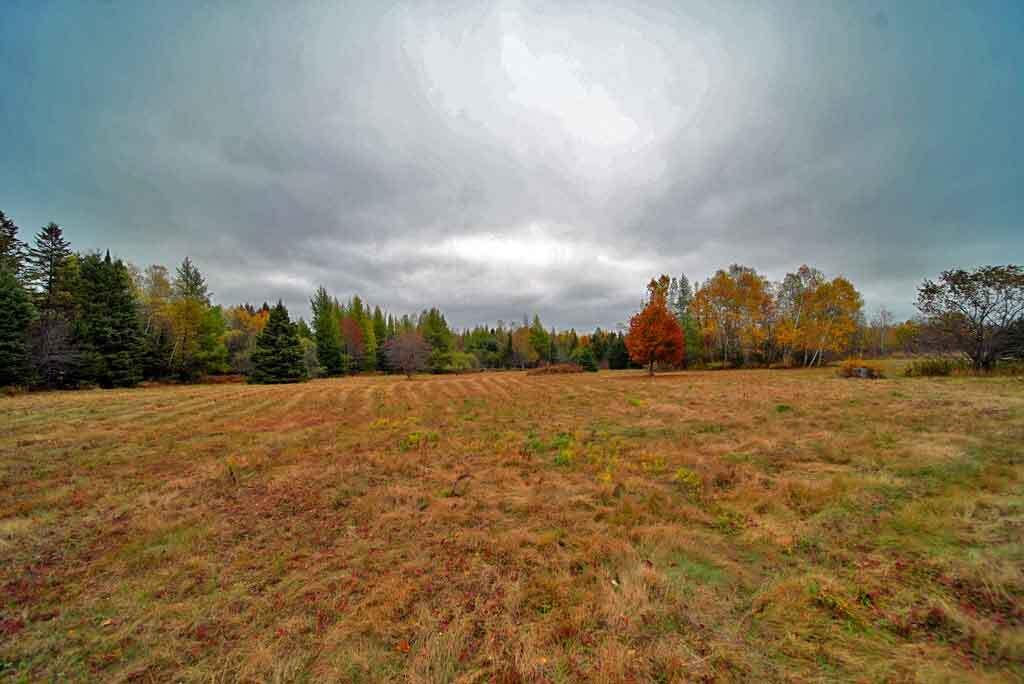 483 Harris Hill Road Weston, ME 04424 - Photo 8 of 33 5.2-acres-land-bush-hogged