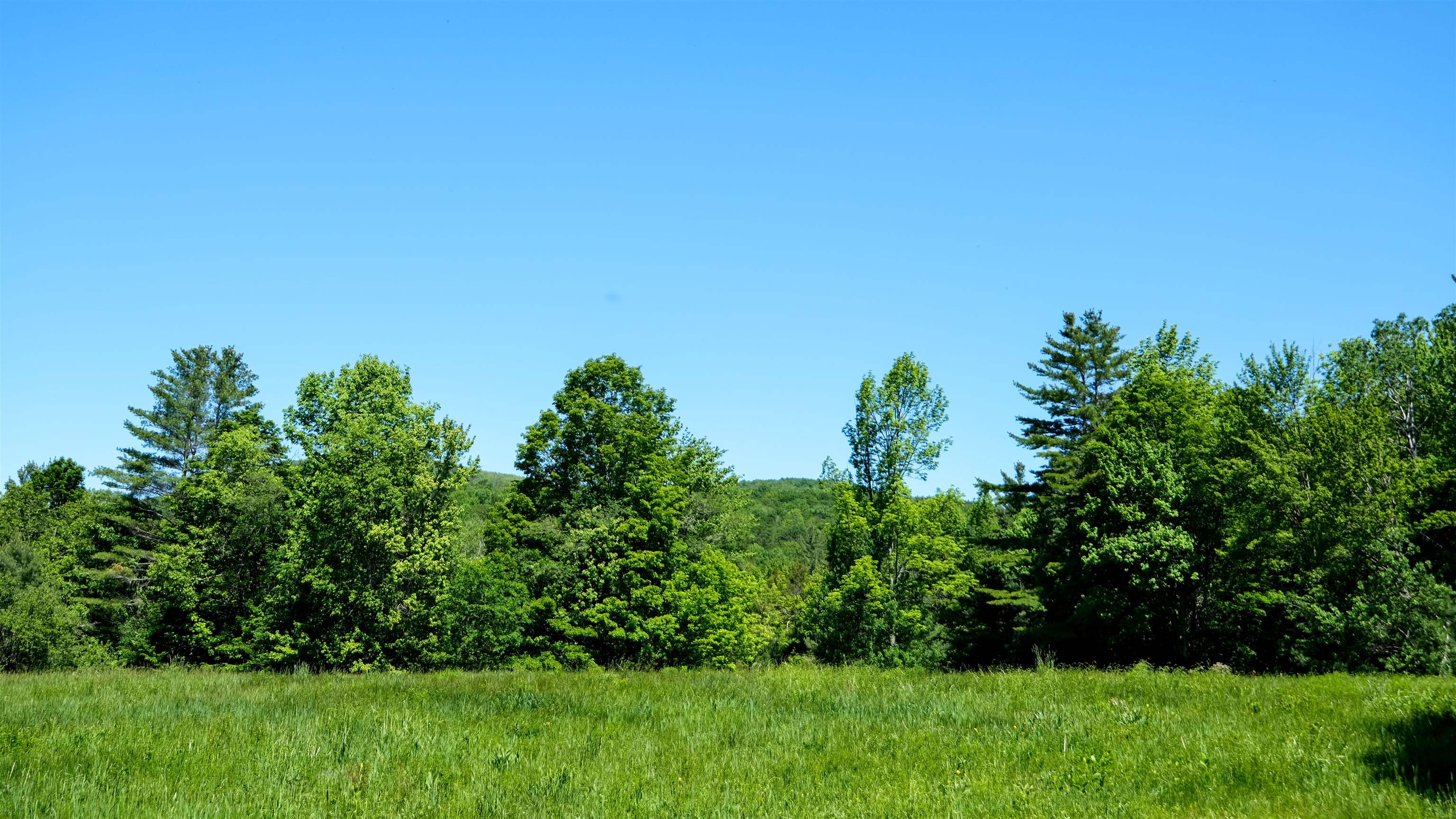 0 Rod And Gun Club Road, Unit 8 Ludlow, VT 05149 - Photo 7 of 27