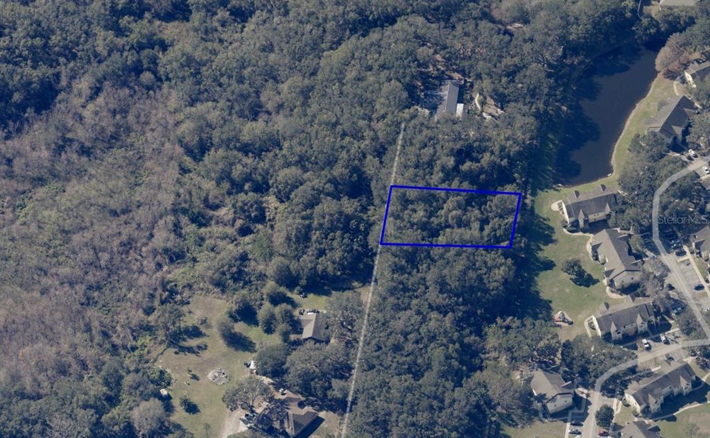1362 Avalon Road Winter Garden, FL 34787 - Photo 5 of 18 Gallery Image 5