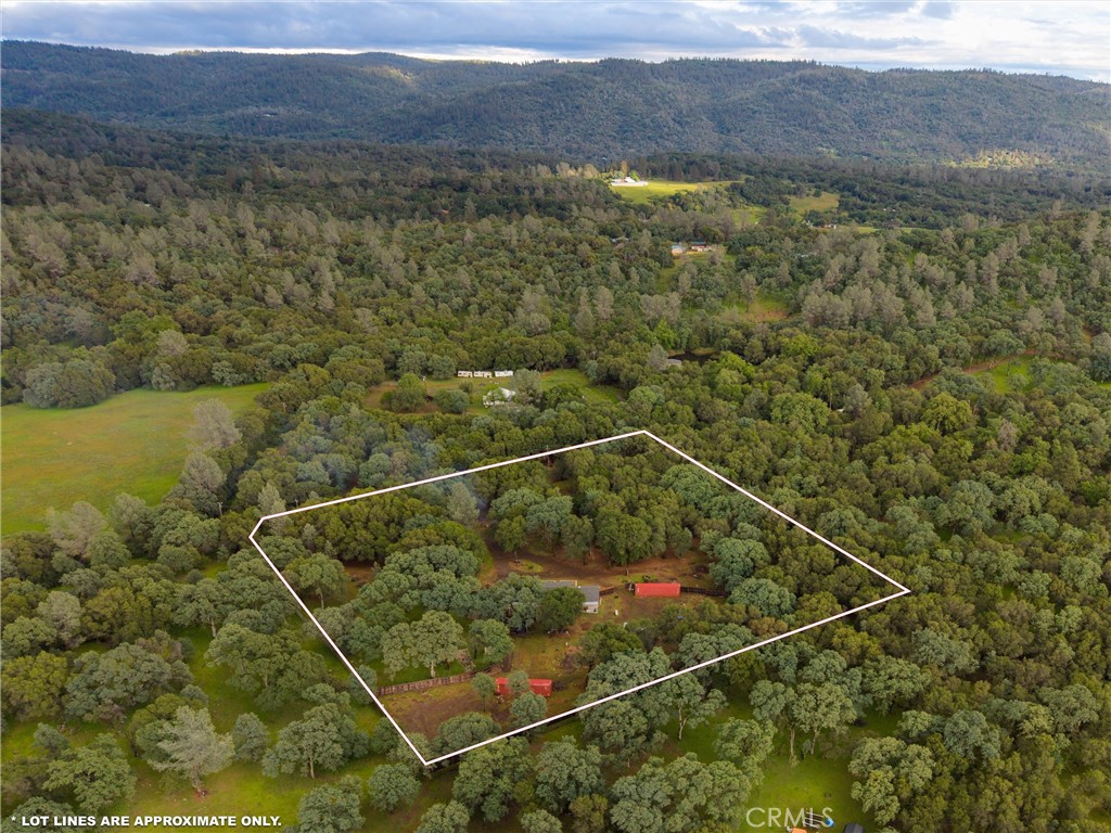 1768 Swedes Flat Road Bangor, CA 95914 - Photo 30 of 52