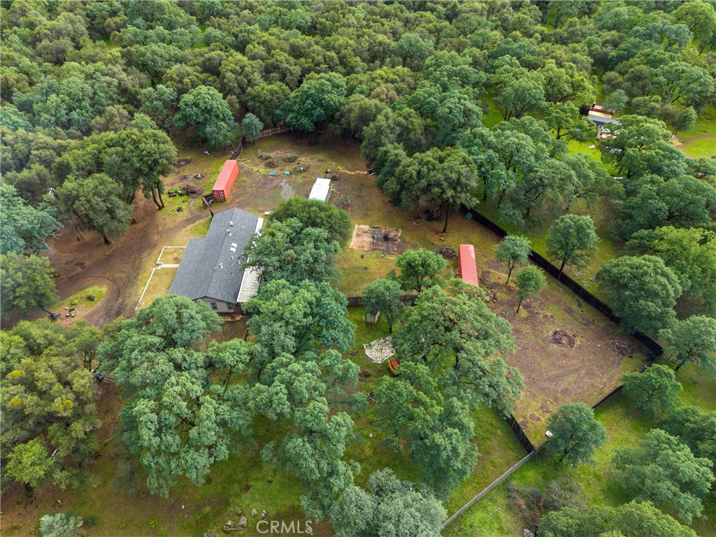 1768 Swedes Flat Road Bangor, CA 95914 - Photo 31 of 52