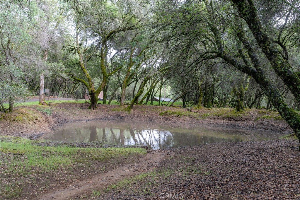 1768 Swedes Flat Road Bangor, CA 95914 - Photo 51 of 52
