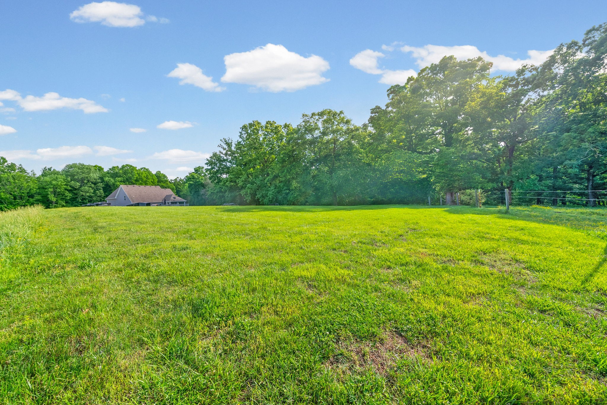 317 Alonzo Place Cunningham, TN 37052 - Photo 5 of 55