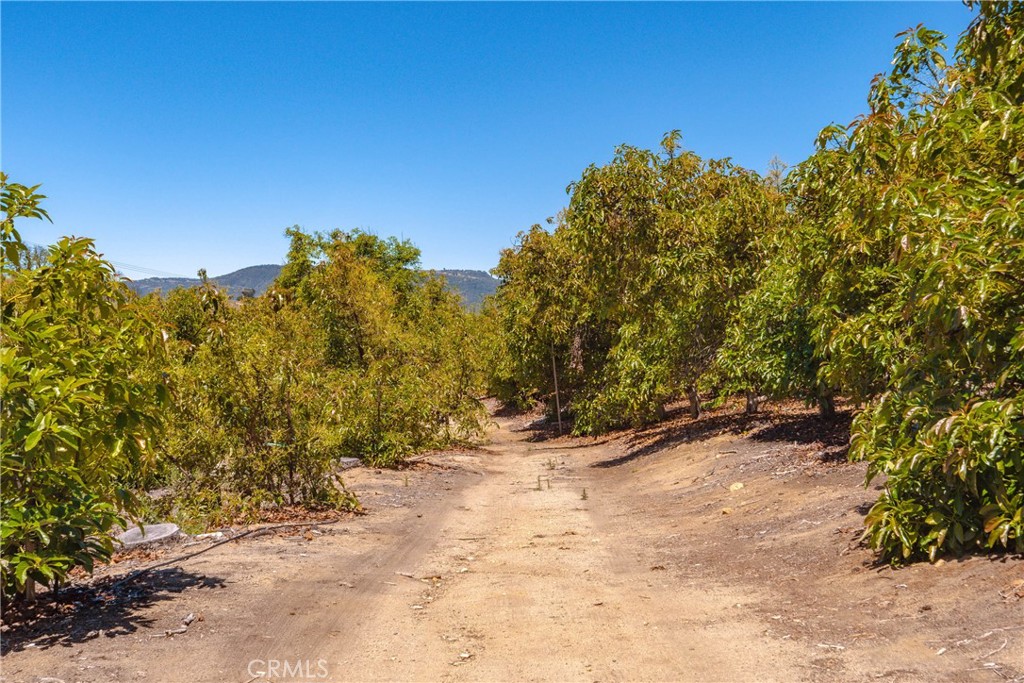 3738 Camaron Road Temecula, CA 92590 - Photo 16 of 40