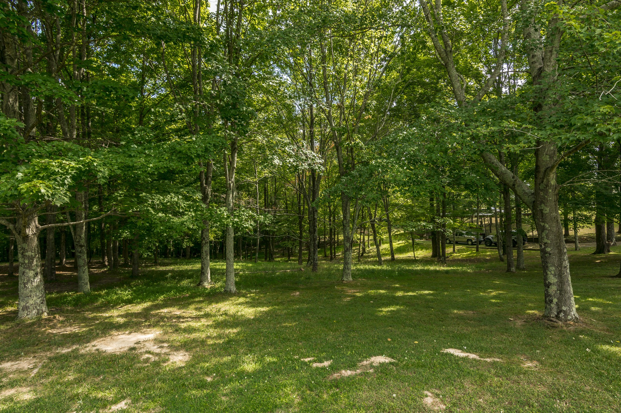 2938 Morgan Road Joelton, TN 37080 - Photo 4 of 40 Gallery Image 4