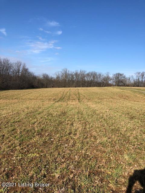 0 South Property Road Eminence, KY 40019 - Photo 1 of 4 IMG_1520