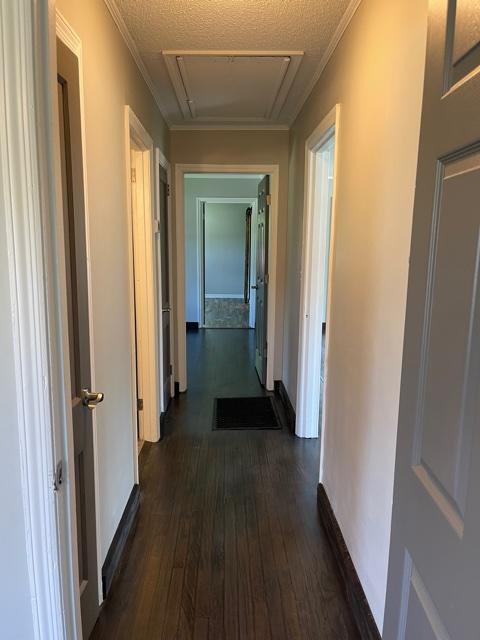708 Forrest Road Fort Oglethorpe, GA 30742 - Photo 19 of 34 IMG_1862