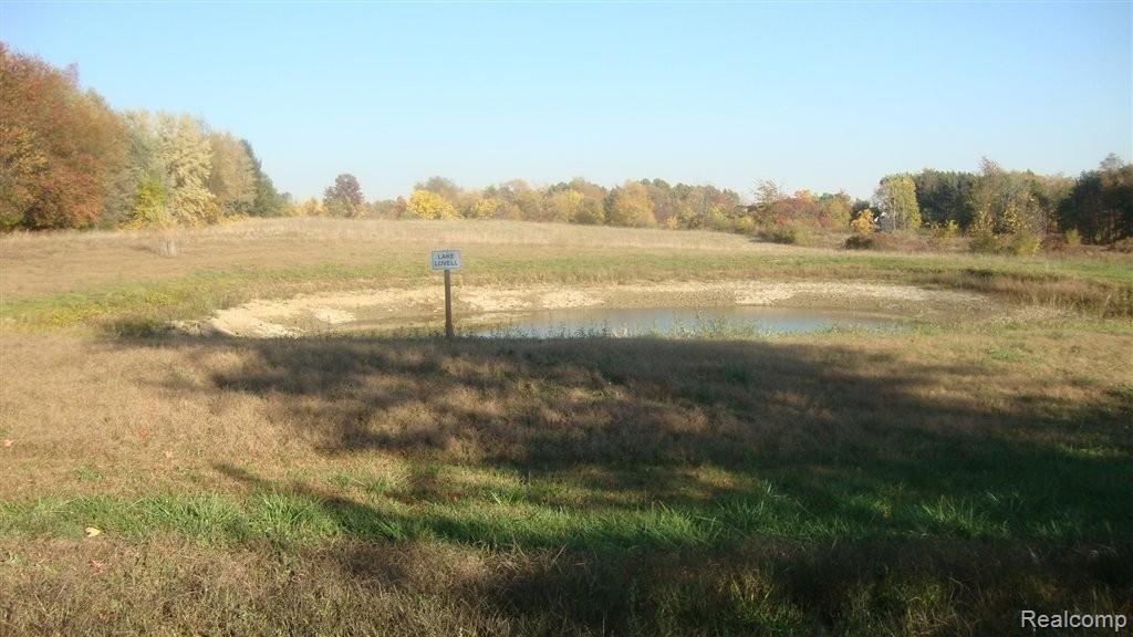 64400 Campground Road Washington, MI 48095 - Photo 11 of 17 Pond.JPG