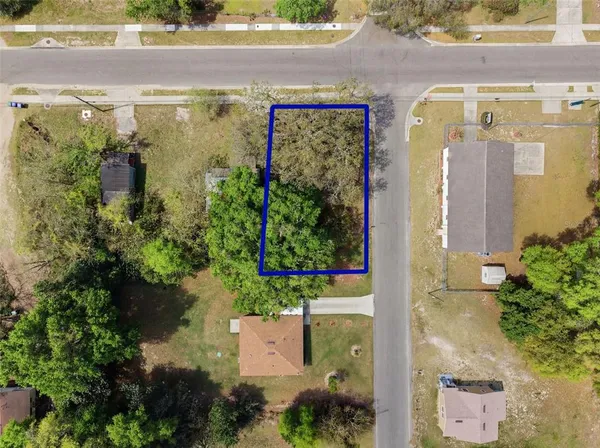 an aerial view of a house with a yard and potted plants