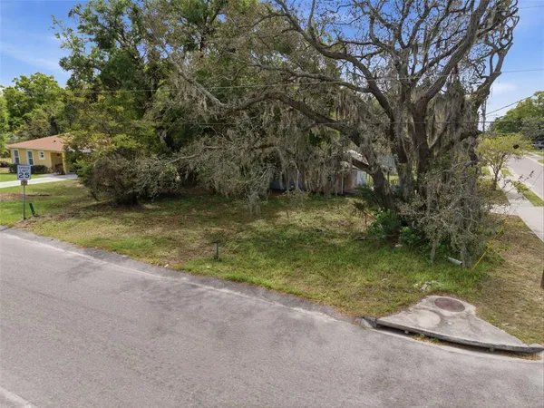 a view of a yard with a tree