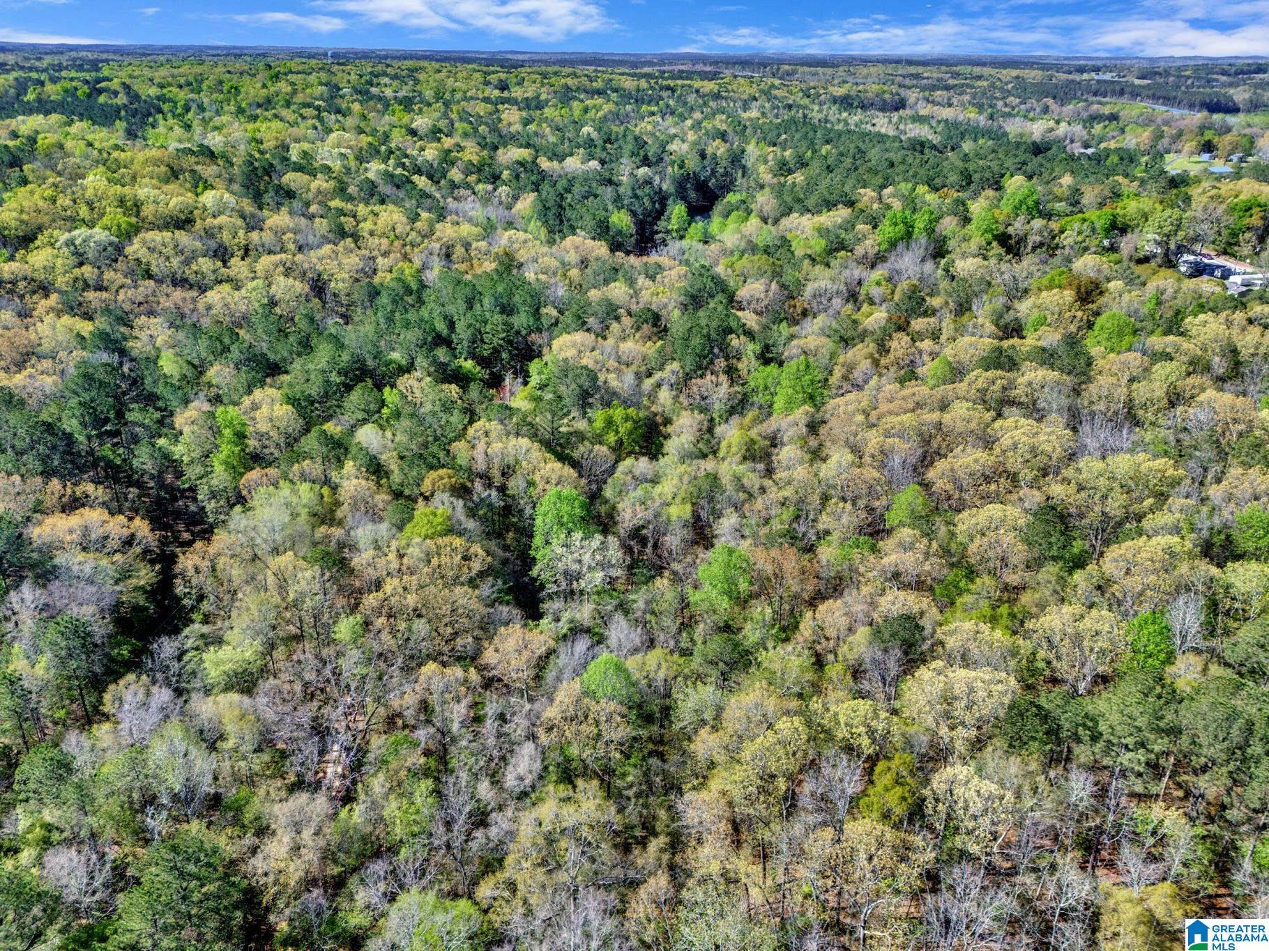 358 Cornelia Road Brierfield, AL 35035 - Photo 56 of 62
