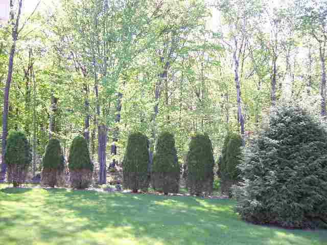 4122 Consaul Road Schenectady, NY 12304 - Photo 3 of 4 Photo 3