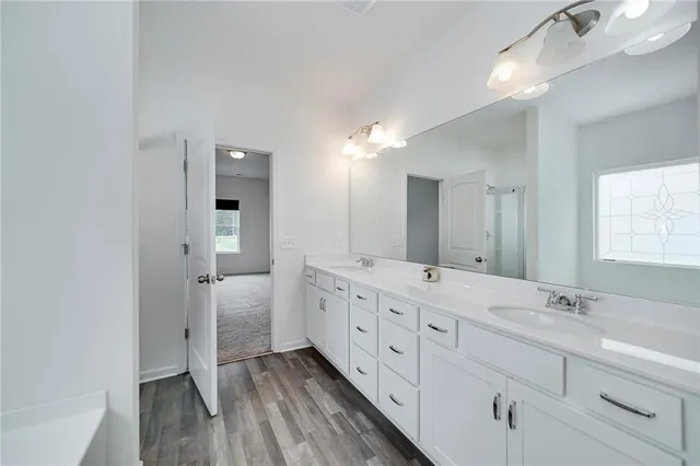 a bathroom with double vanity sink a mirror and a shower