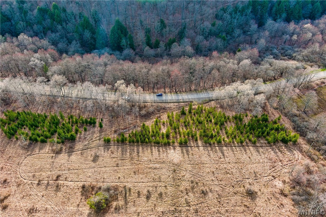 0 Quigg Hollow Road Andover, NY 14806 - Photo 7 of 19