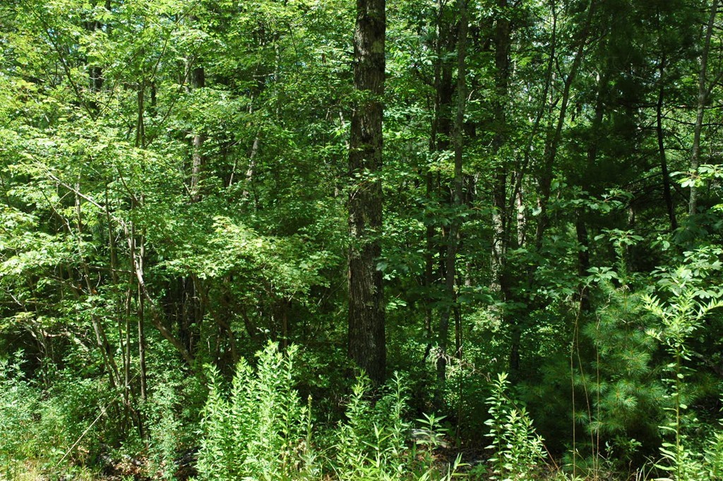 -lot90 Tearall Road Raynham, MA 02767 - Photo 1 of 2 Gallery Image 1