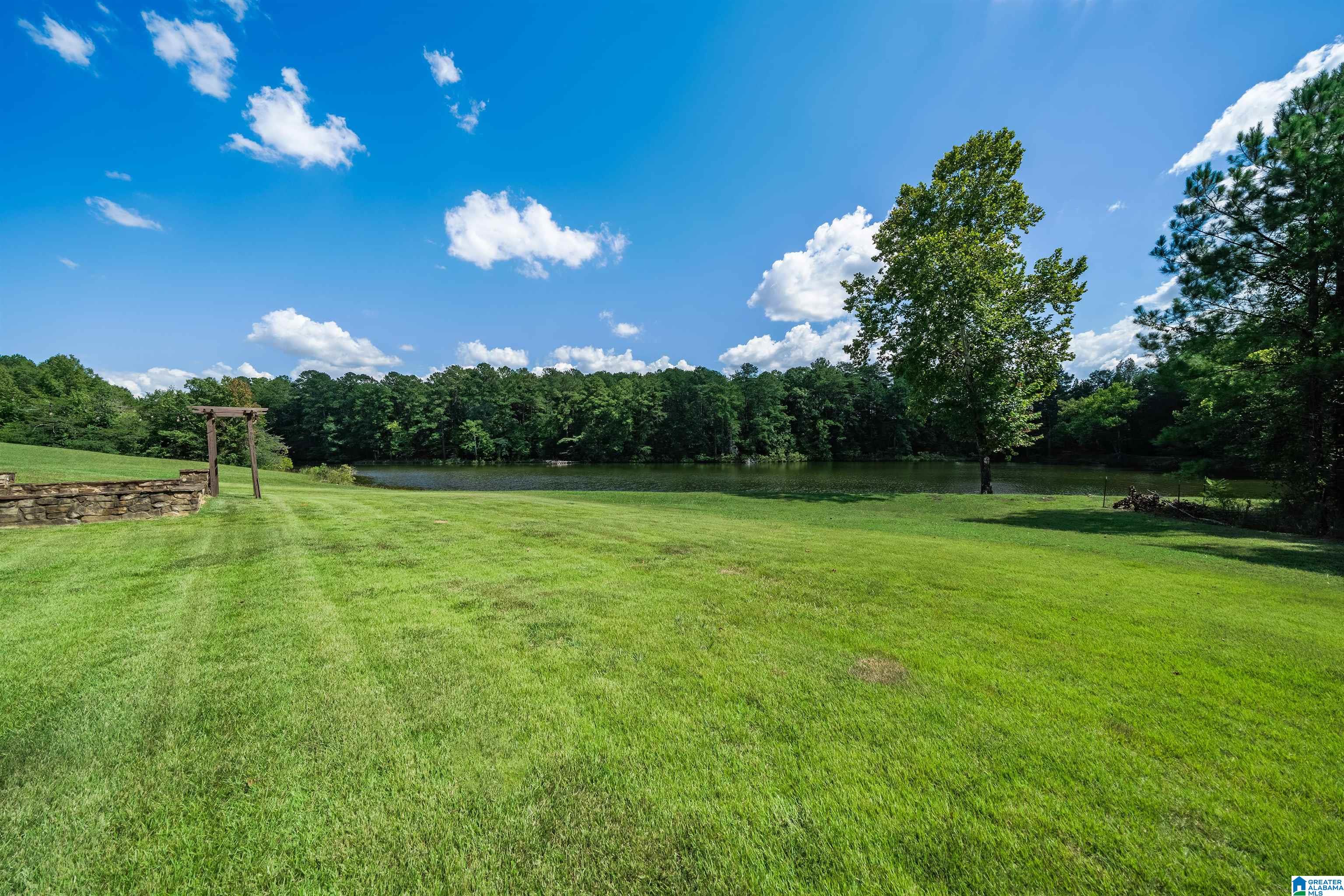 6677 Letson Lake Road Bessemer, AL 35023 - Photo 49 of 65