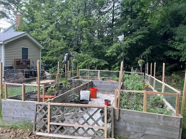 a view of house with backyard outdoor seating and trees