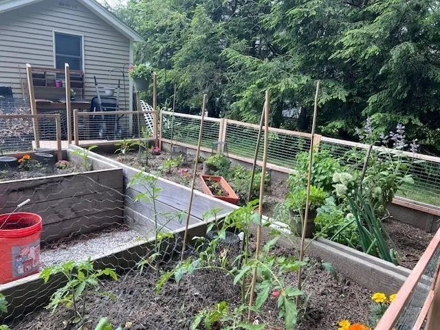 a view of a chair and tables in the backyard