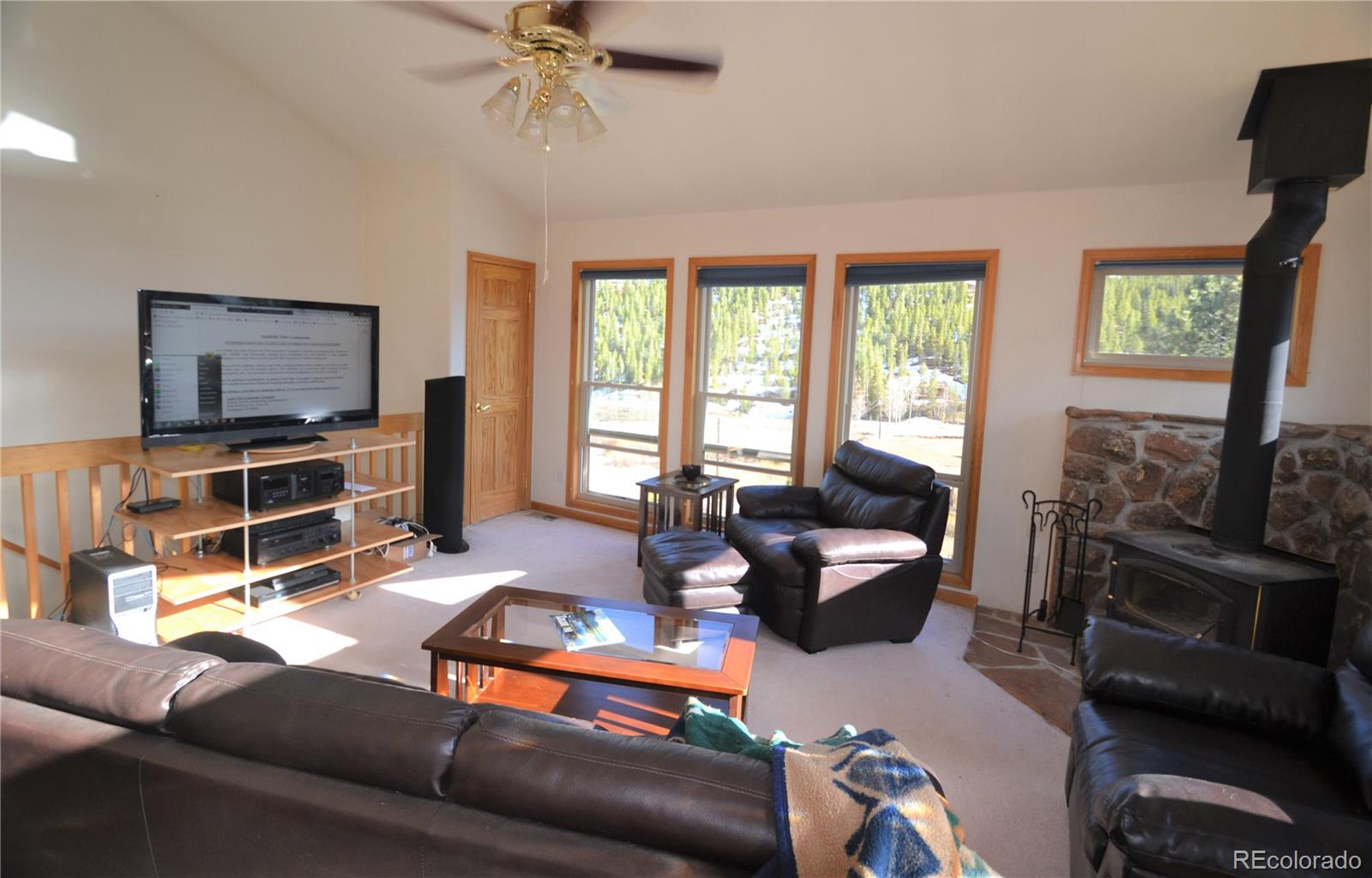 627 North Random Road Bailey, CO 80421 - Photo 8 of 15 a living room with furniture and a flat screen tv