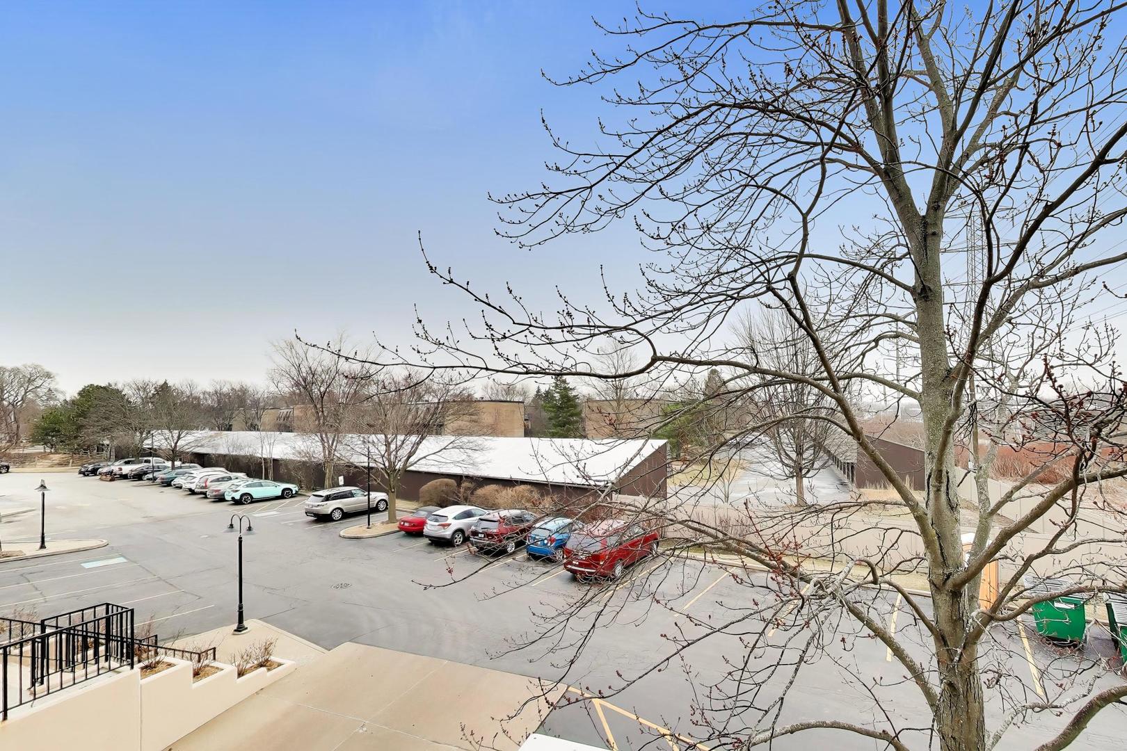 308 North Happ Road, Unit 201 Northfield, IL 60093 - Photo 38 of 45