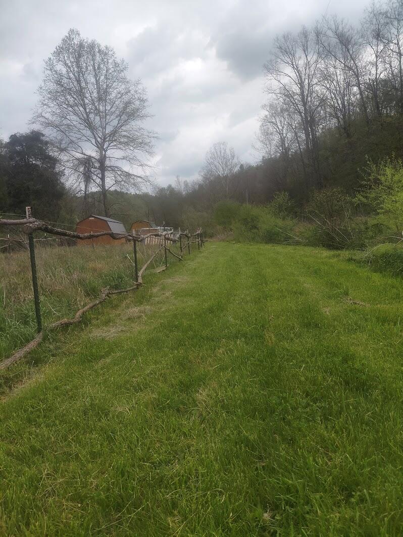 97 Bethel Road Patriot, OH 45658 - Photo 24 of 37 20260418_140347