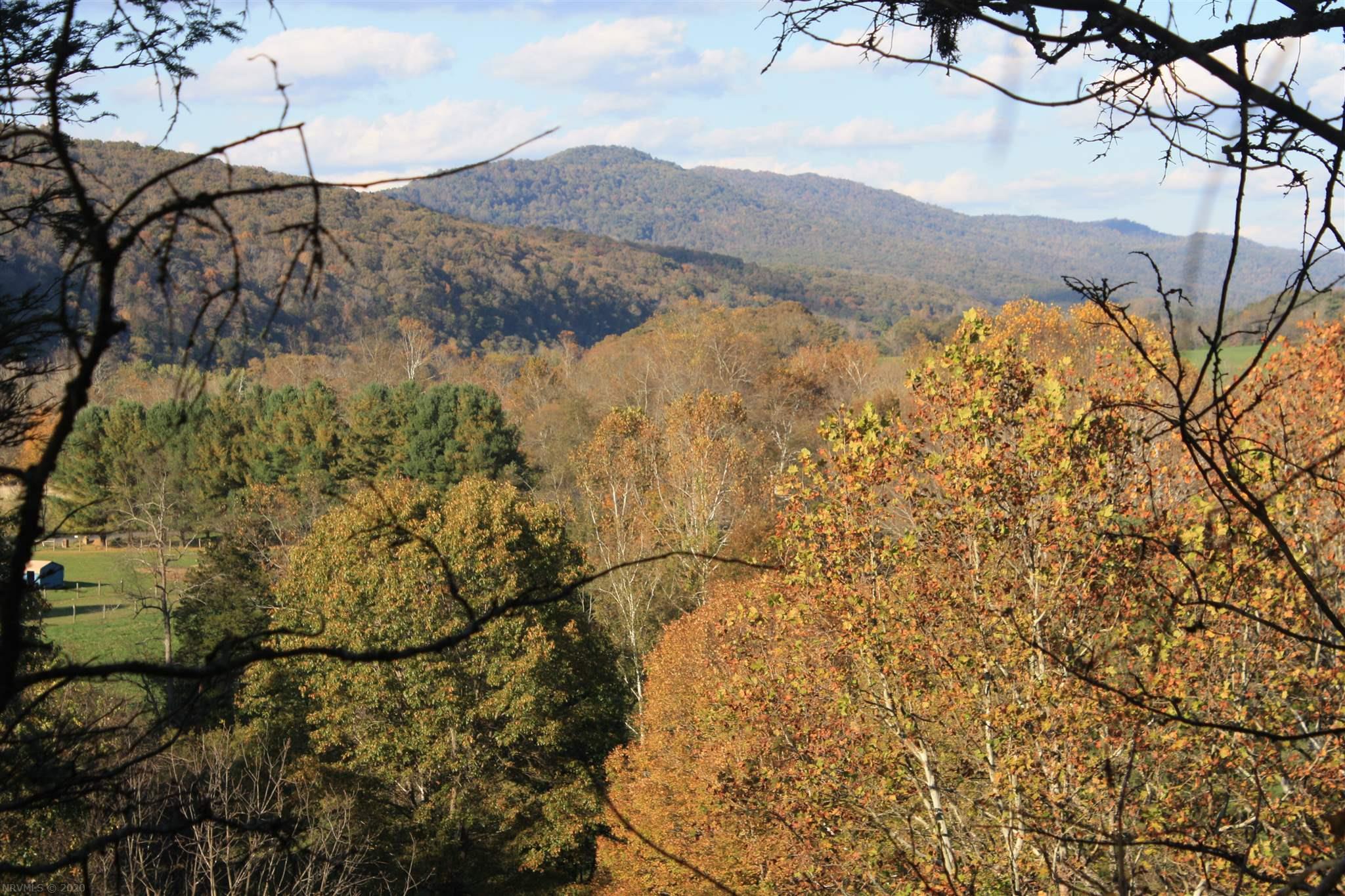 6918 Jackson River Road Hot Springs, VA 24445 - Photo 11 of 17 Gallery Image 11
