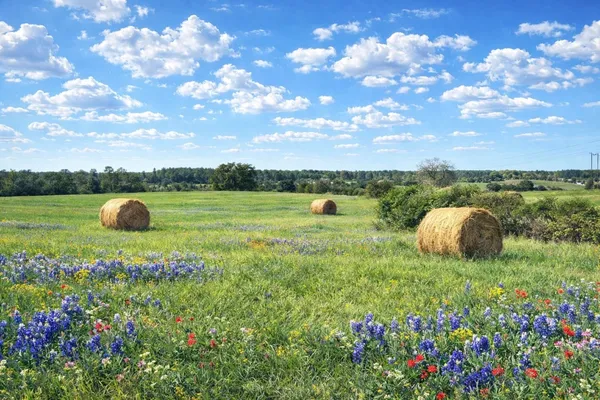 $474,000 | 0 West W Cr, Buffalo, TX 75831